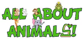 All About Animals