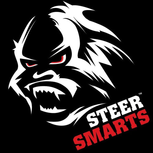 SteerSmarts