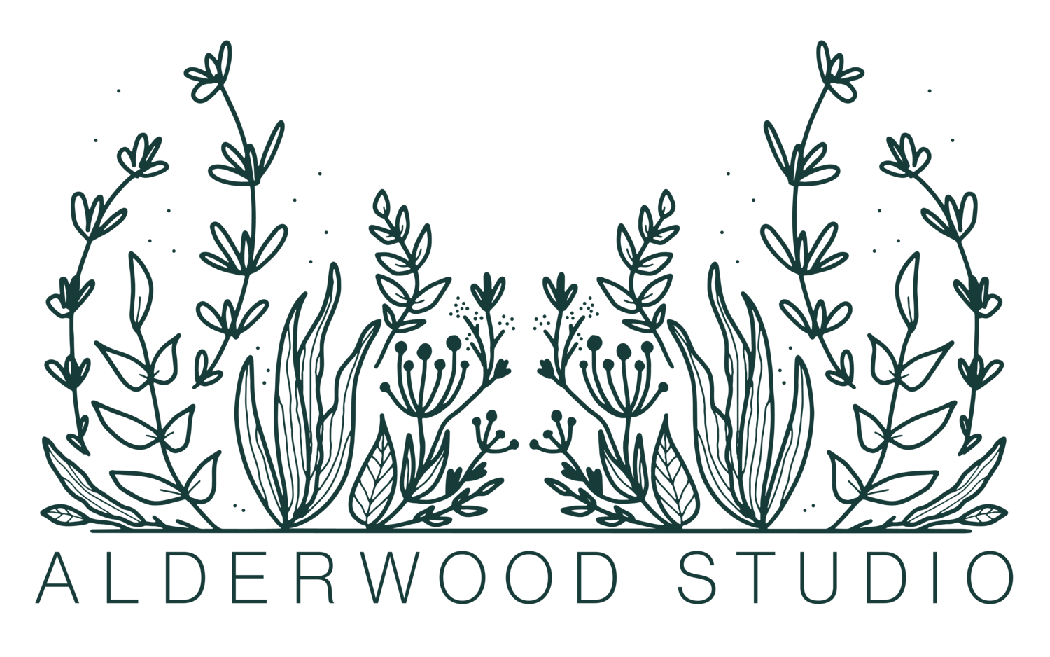 Alderwood Studio
