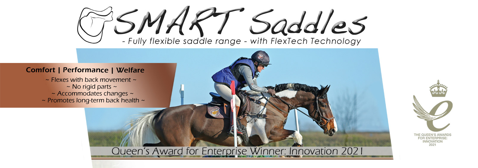 Solution Saddles