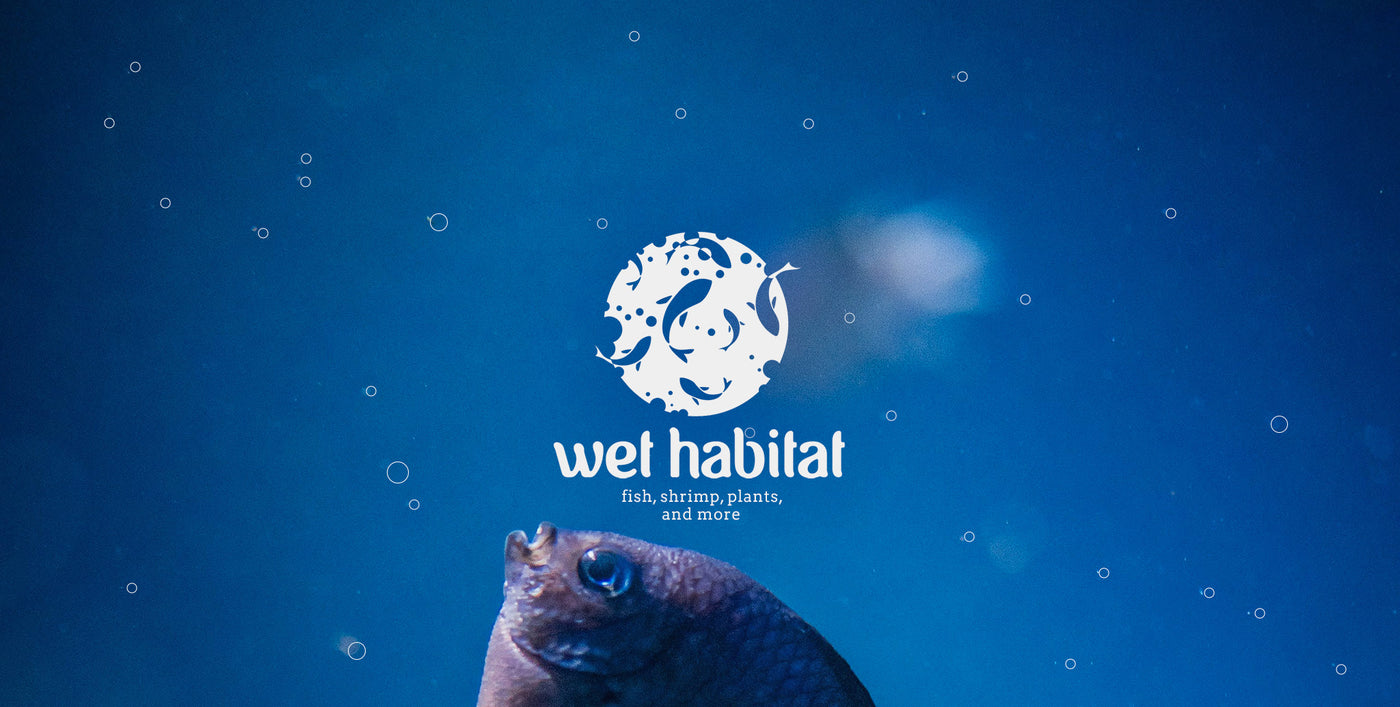 Wet Habitat