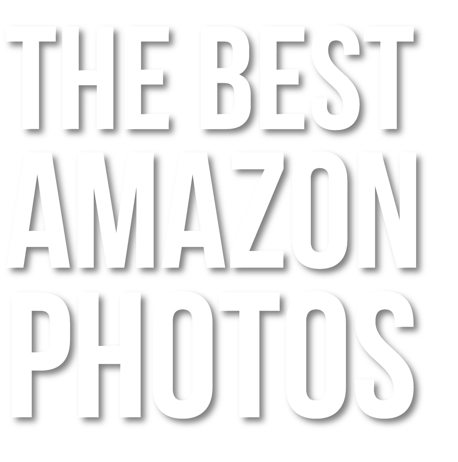 The Best Amazon Photos