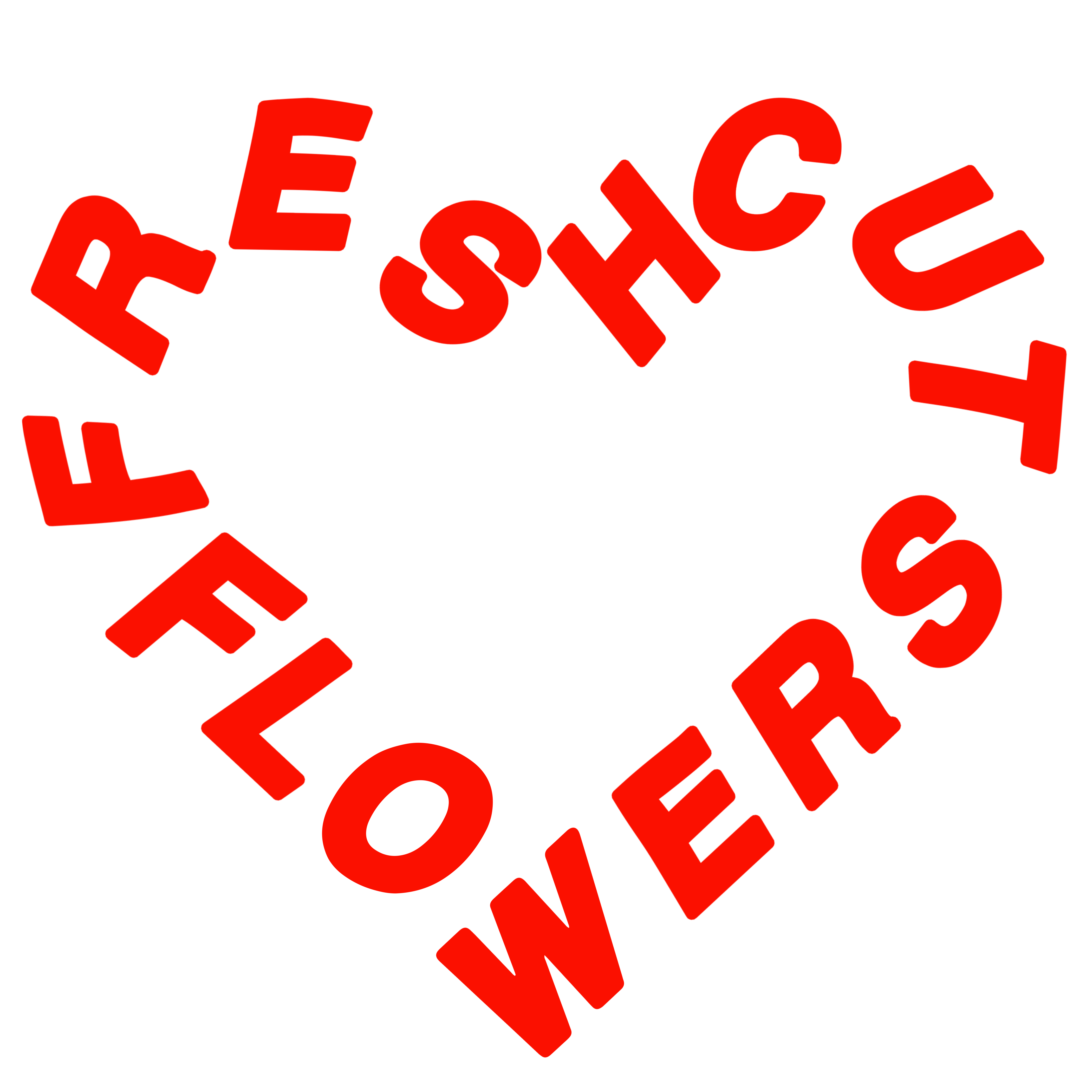 Shopfreshcutflowers