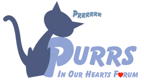 Purrs In Our Hearts
