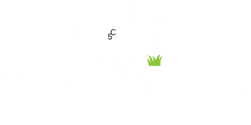 The Herd