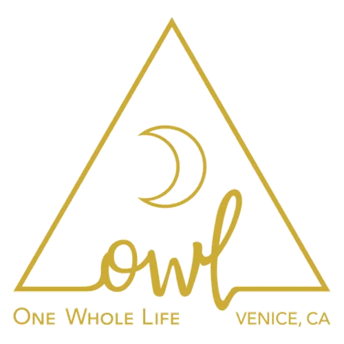 OWL Venice