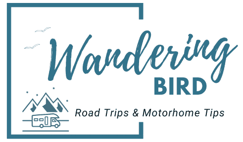 Wandering Bird