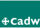 Cadw Membership
