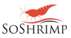 SoShrimp