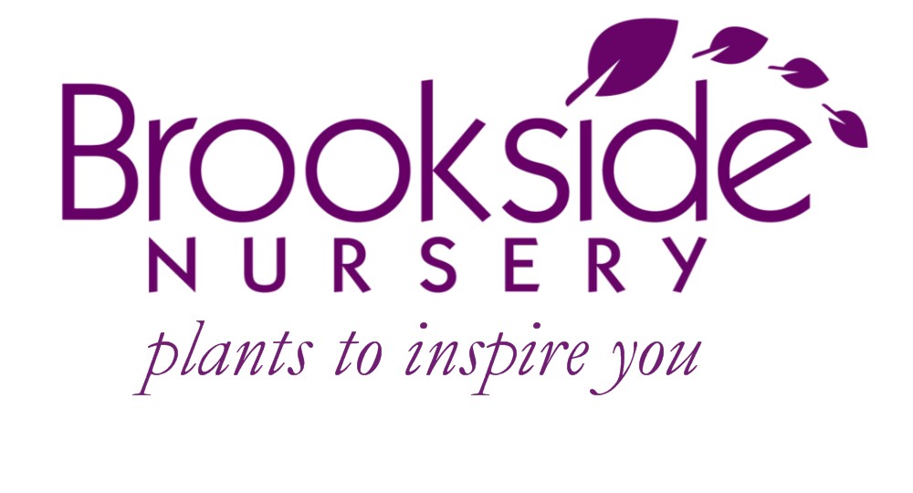 Brookside Nursery