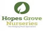 Hopes Grove Nurseries