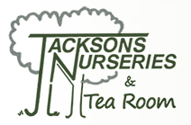 Jacksons nurseries