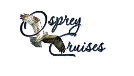 Osprey Cruises